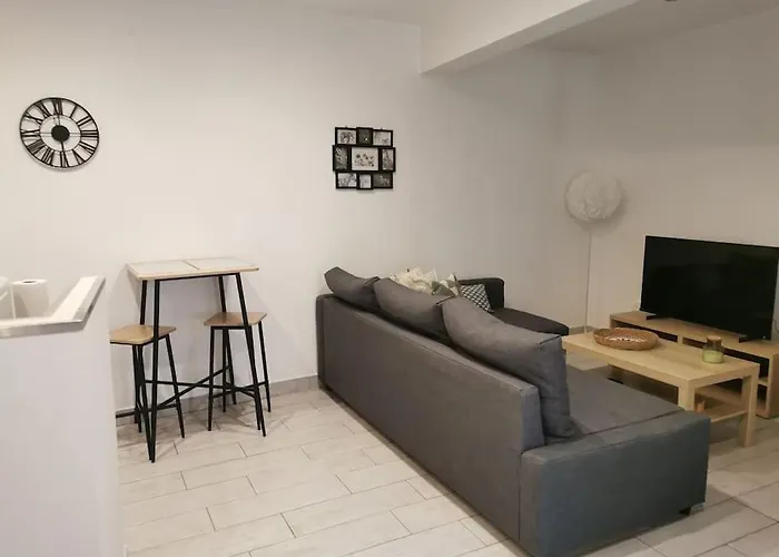 Cozy Deux Pieces, Terrasse, En Centre Valence (Drome)